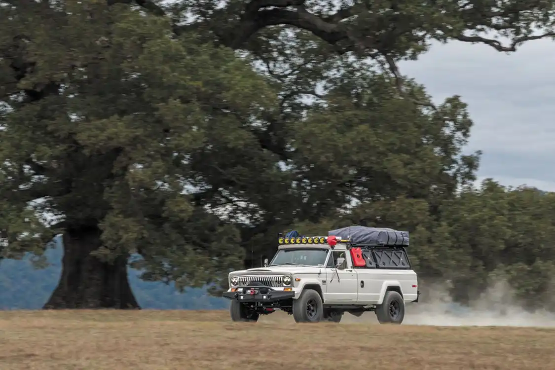 1978 Jeep J20 driving across field with oak tree in background