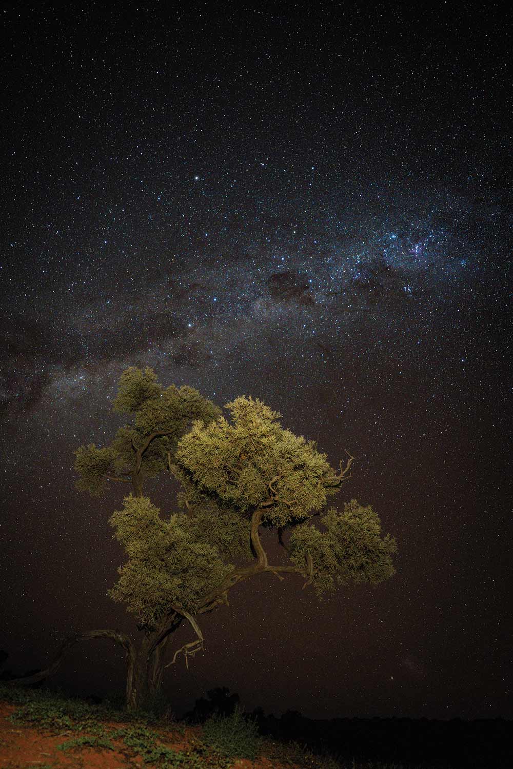 The Southern Hemisphere stars put on a mighty show in the desert.